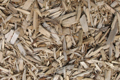 biomass boilers Felindre